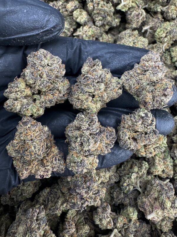 Twizzle Dance - 泰國曼谷大麻11月