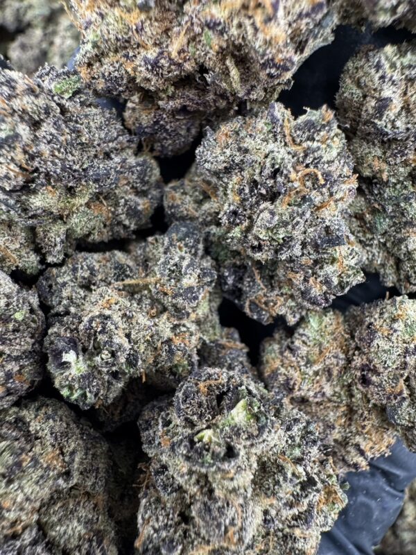 Twizzle Dance - 泰國曼谷大麻11月