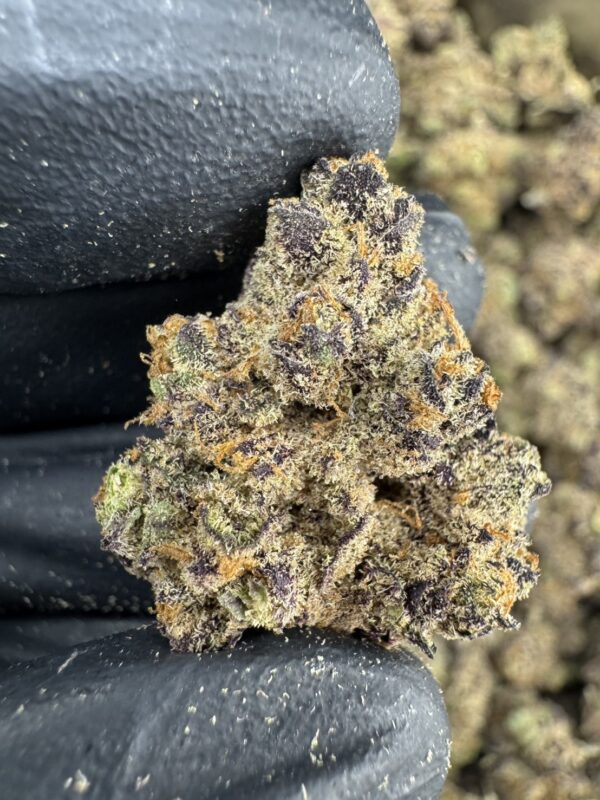 S__20324358 Code Red - 泰國曼谷大麻11月