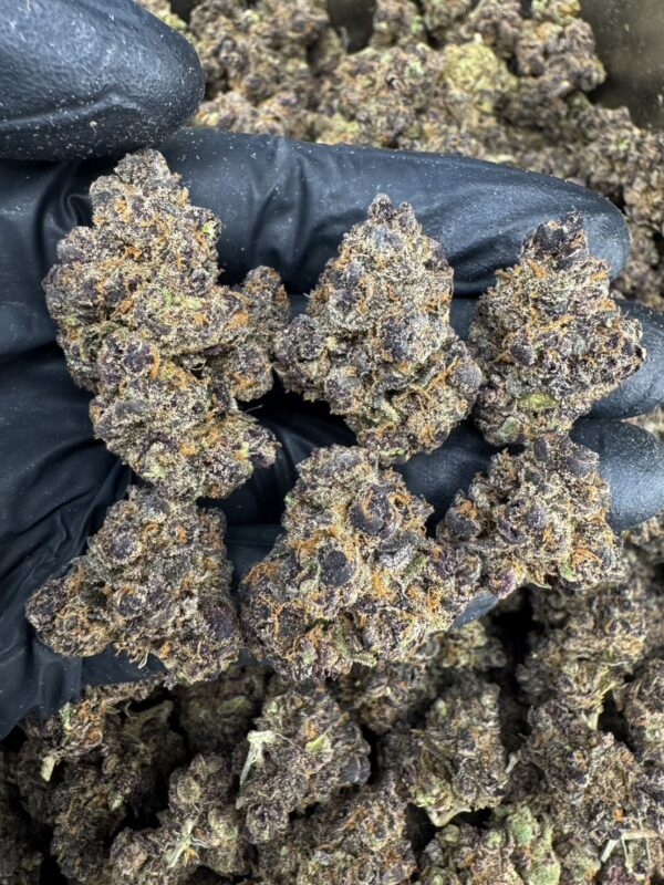 S__20324364 Next Level - 泰國曼谷大麻11月