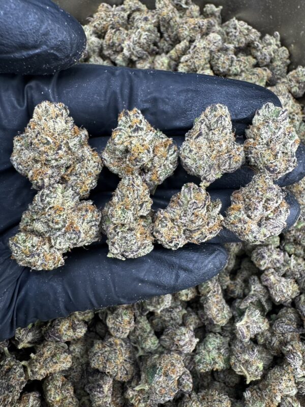 Ice Cream Cake - 泰國曼谷大麻11月