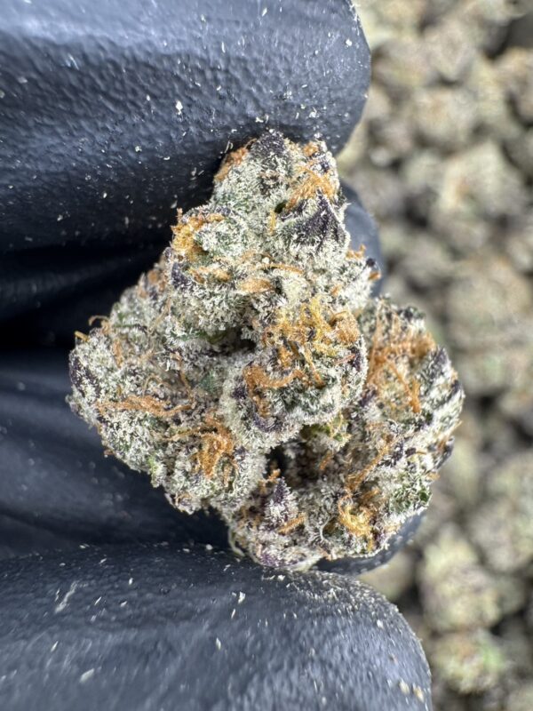 Ice Cream Cake - 泰國曼谷大麻11月