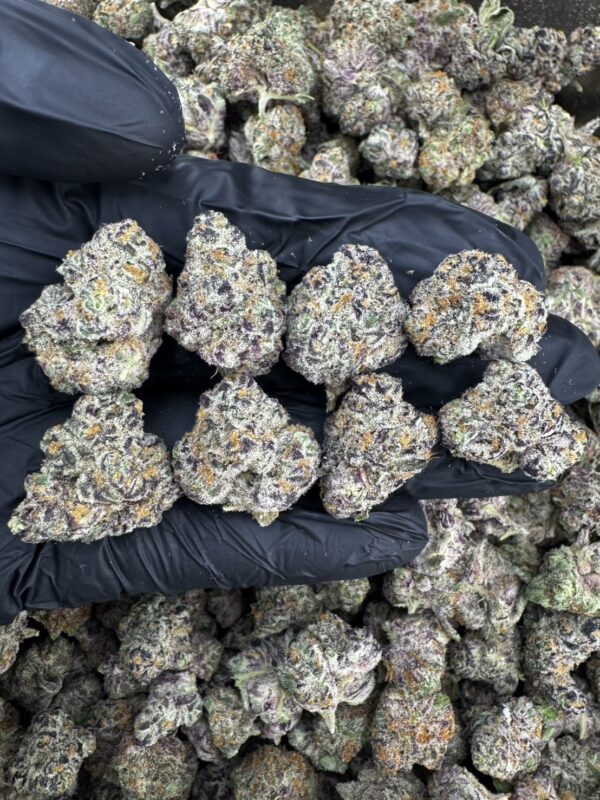 S__20340819 Ztrawberry Runtz -泰國曼谷大麻11月