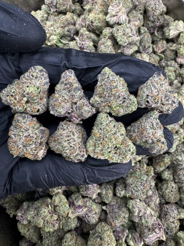 RBB × LCG - 泰國曼谷大麻11月