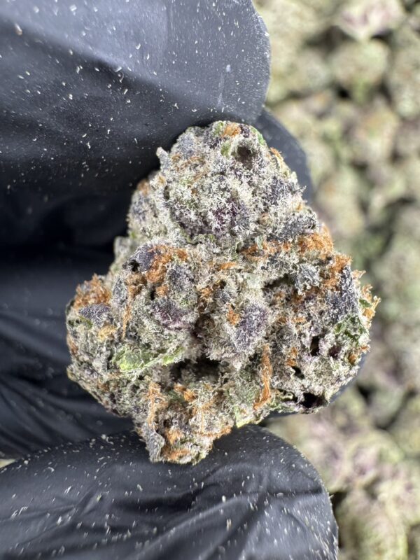 RBB × LCG - 泰國曼谷大麻11月