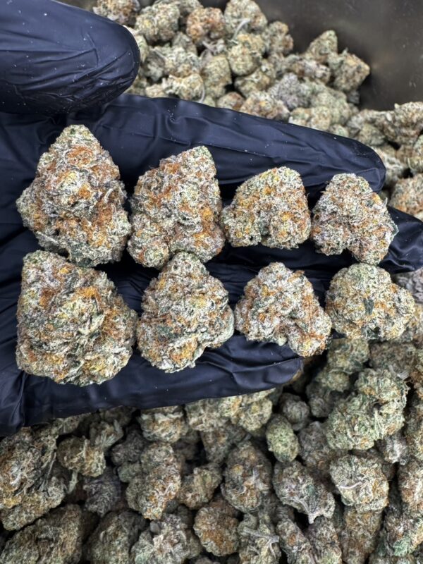 S__20357123 Sweet Zombie - 泰國曼谷大麻11月