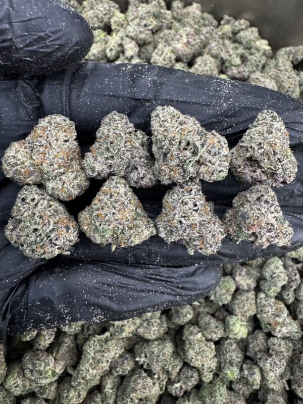 Tricho Jordan  -泰國曼谷大麻11月