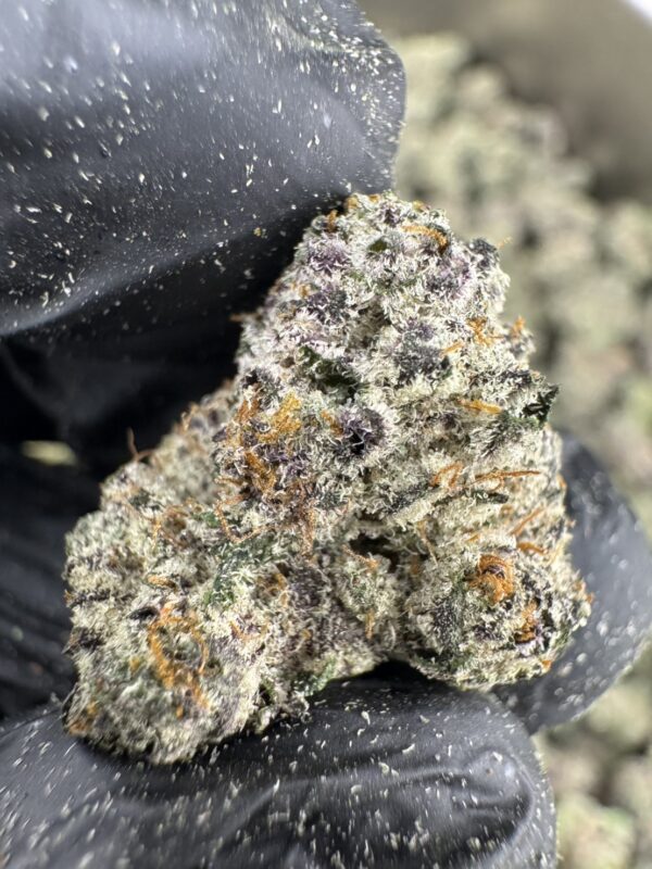 Tricho Jordan  -泰國曼谷大麻11月