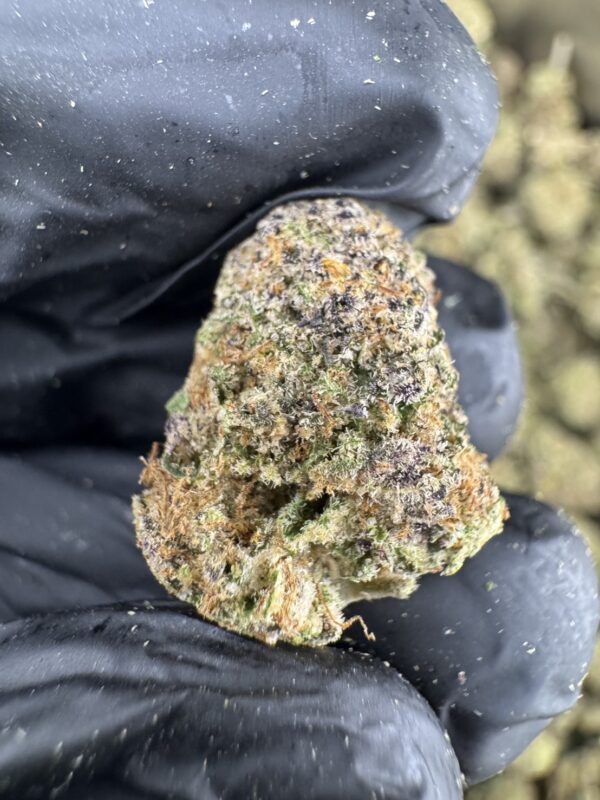 Chronic Cake - 泰國曼谷大麻11月