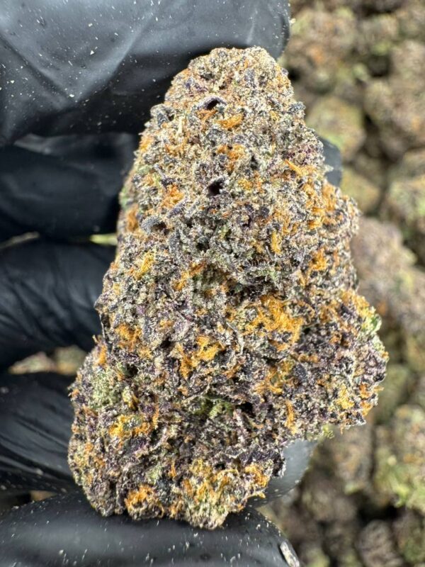 photo_2025-11-23_06-45-42 (2) ML Peachy