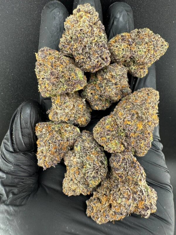 photo_2025-11-23_06-45-42 ML Peachy