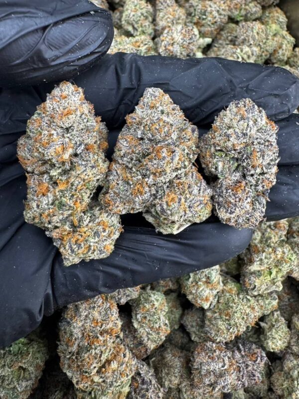 photo_2025-11-23_06-51-55 Ice Cream Cake