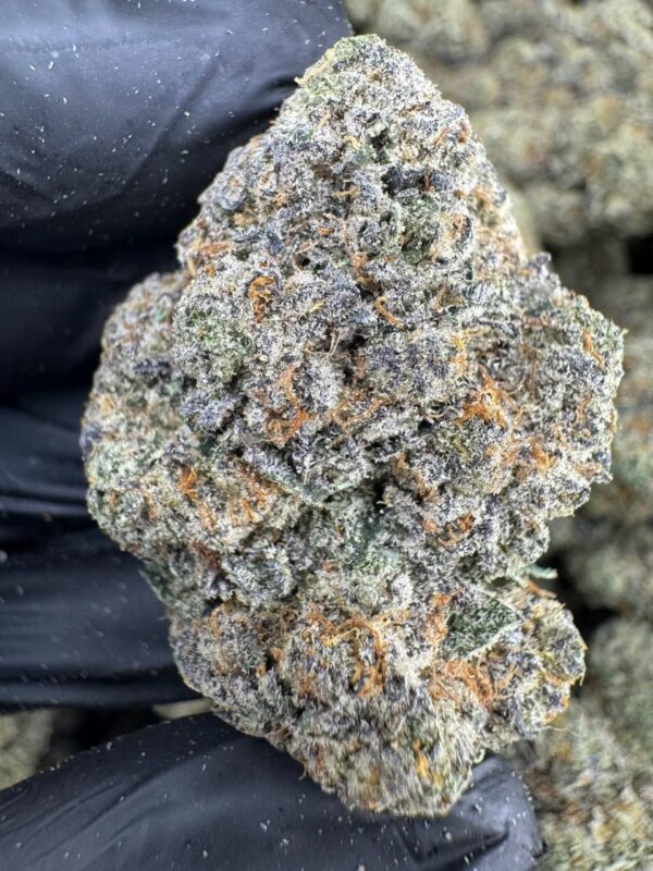 photo_2025-11-23_06-55-33 (2) Ice Cream Cake