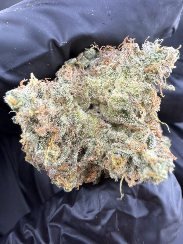 IMG_6199 Super Lemon Haze