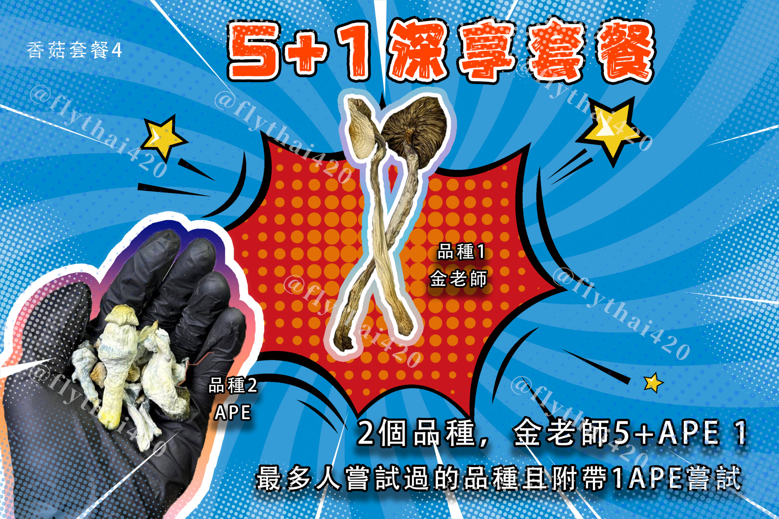 專一用一個香菇