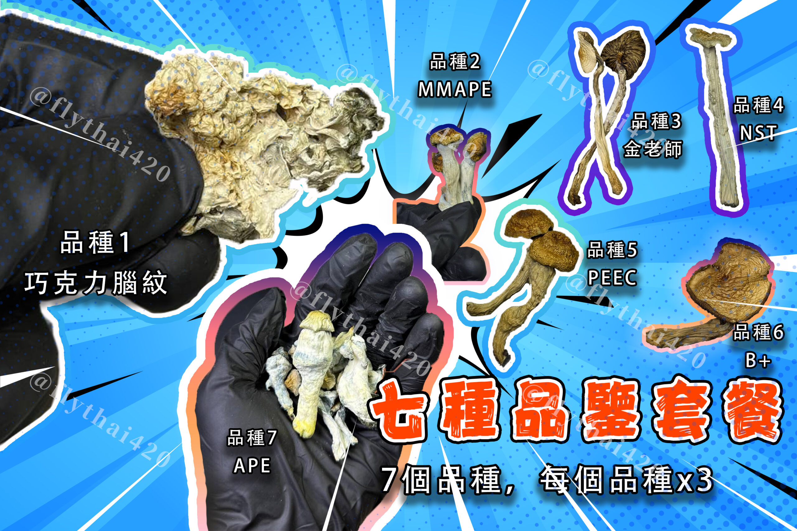 七種香菇都來點