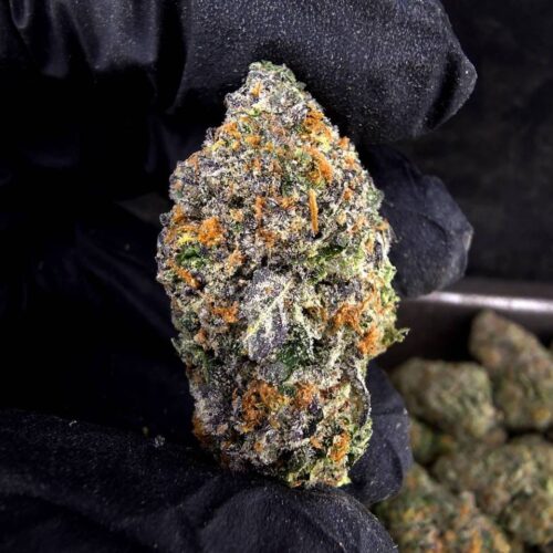 Blue Zkittlez - 1.18