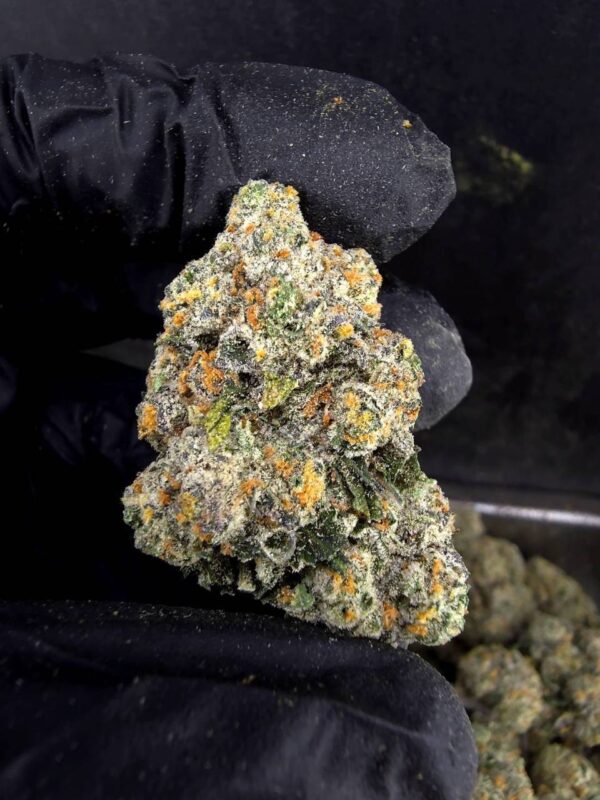 大麻品种COMPOUNDZ (2) COMPOUNDZ